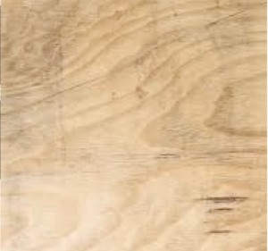 שם הטקסטורה