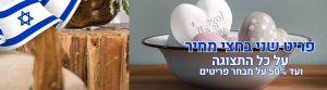 ריהוט בהתאמה אישית
